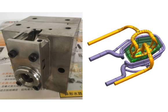 �й�������-www.zl866.com|�ٷ���վ