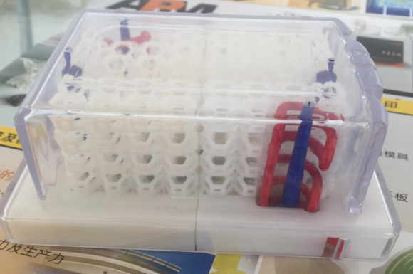 �й�������-www.zl866.com|�ٷ���վ